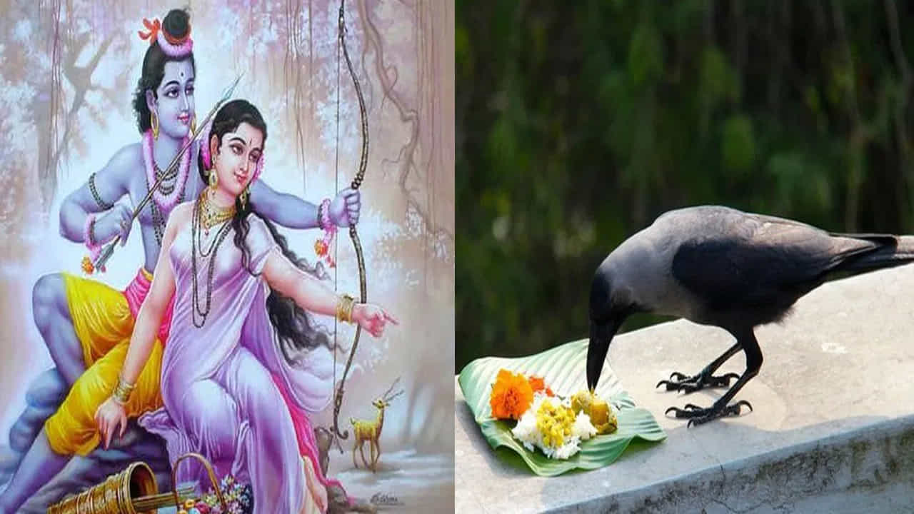 ಕಾಗೆಗಳಿಗೆ ಪಿಂಡ ಇಡುವುದೇಕೆ? ಈ ಸಂಪ್ರದಾಯಕ್ಕೂ ಶ್ರೀರಾಮನಿಗೂ ಇದೆ ಸಂಬಂಧ! ಕಾಗೆಗಳಿಗೆ ಪಿಂಡ ಇಡುವುದೇಕೆ? ಈ ಸಂಪ್ರದಾಯಕ್ಕೂ ಶ್ರೀರಾಮನಿಗೂ ಇದೆ ಸಂಬಂಧ!