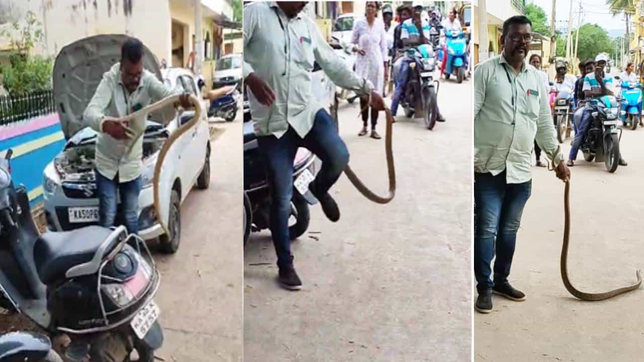 ಚಿಕ್ಕಬಳ್ಳಾಪುರ: ಹಾವು ಸಂರಕ್ಷಣೆ ವೇಳೆ ಉರಗ ತಜ್ಞನಿಗೆ ಕಚ್ಚಿದ ಹಾವು ಚಿಕ್ಕಬಳ್ಳಾಪುರ: ಹಾವು ಸಂರಕ್ಷಣೆ ವೇಳೆ ಉರಗ ತಜ್ಞನಿಗೆ ಕಚ್ಚಿದ ಹಾವು