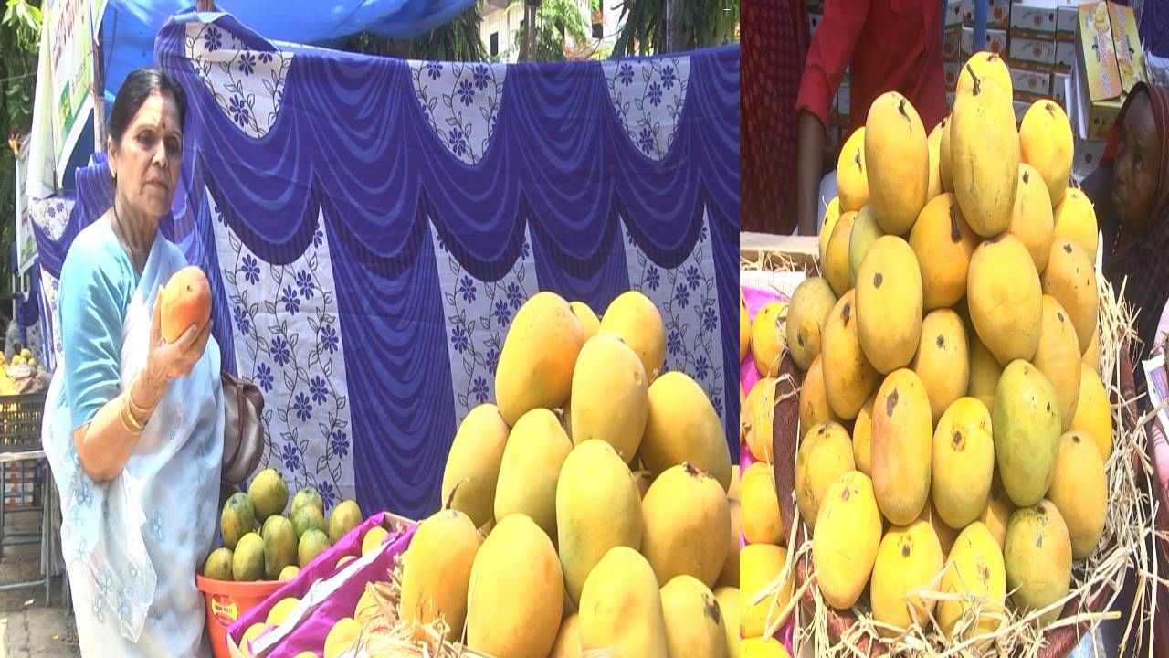 ಧಾರವಾಡದಲ್ಲಿ ಮಾವು ಮೇಳ ಆರಂಭ; ಇಲ್ಲಿವೆ ವಿವಿಧ ಬಗೆಯ ಹಣ್ಣುಗಳು ಧಾರವಾಡದಲ್ಲಿ ಮಾವು ಮೇಳ ಆರಂಭ; ಇಲ್ಲಿವೆ ವಿವಿಧ ಬಗೆಯ ಹಣ್ಣುಗಳು