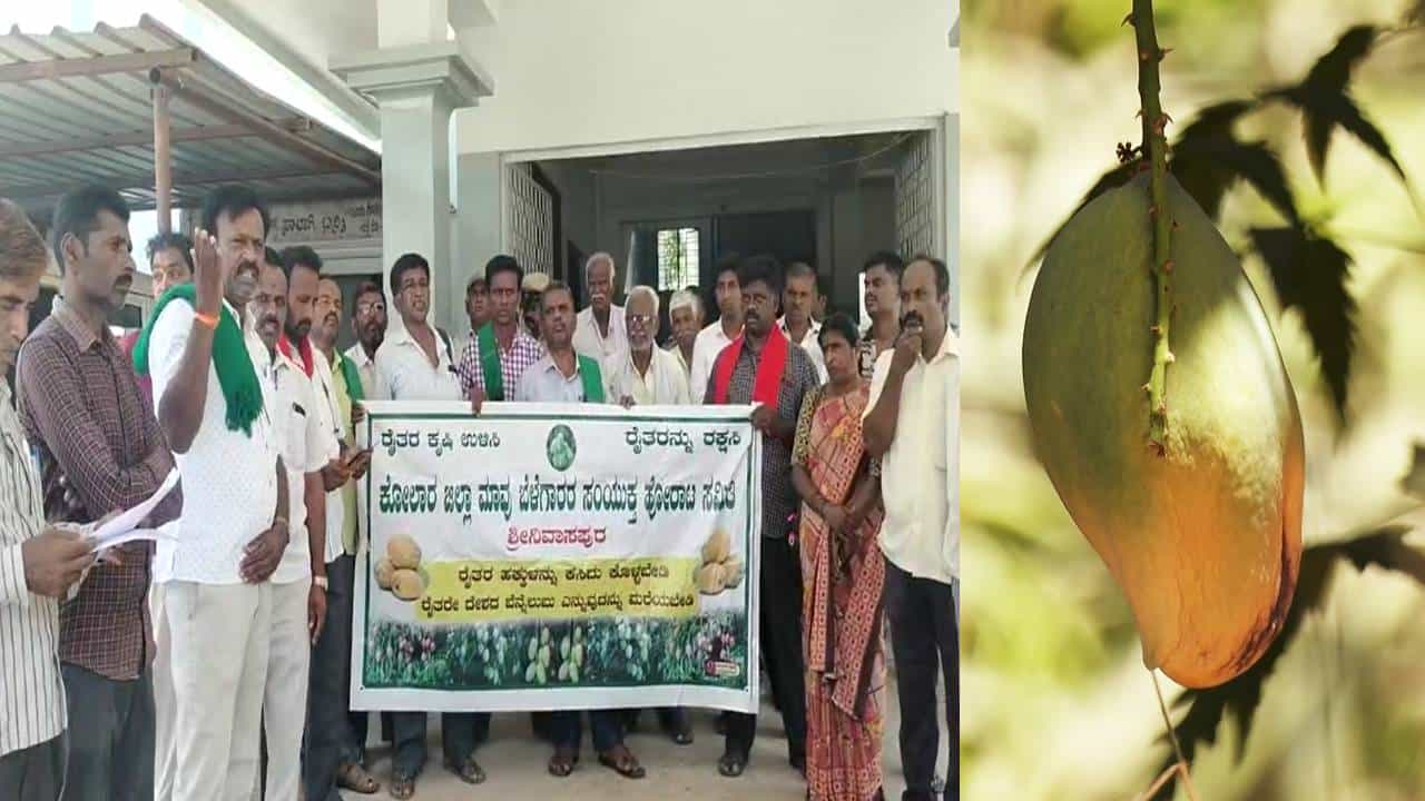 ಬಿಸಿಲಿಗೆ ಬಾಡಿದ ಮಾವು; 88 ಕೋಟಿ ರೂ. ಪರಿಹಾರ ನೀಡಲು ರಾಜ್ಯ ಸರ್ಕಾರಕ್ಕೆ ಮನವಿ ಬಿಸಿಲಿಗೆ ಬಾಡಿದ ಮಾವು; 88 ಕೋಟಿ ರೂ. ಪರಿಹಾರ ನೀಡಲು ರಾಜ್ಯ ಸರ್ಕಾರಕ್ಕೆ ಮನವಿ