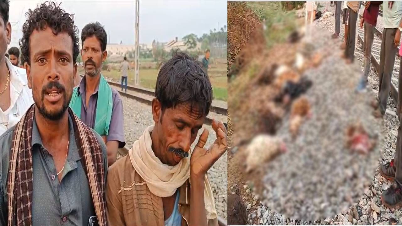 ರೈಲು ಹರಿದು 46 ಕುರಿಗಳ ಮಾರಣ ಹೋಮ, 15ಲಕ್ಷಕ್ಕೂ ಹೆಚ್ಚು ಬೆಲೆಬಾಳುವ ಕುರಿ ಕಳಕೊಂಡ ರೈತ ಕಂಗಾಲು ರೈಲು ಹರಿದು 46 ಕುರಿಗಳ ಮಾರಣ ಹೋಮ, 15ಲಕ್ಷಕ್ಕೂ ಹೆಚ್ಚು ಬೆಲೆಬಾಳುವ ಕುರಿ ಕಳಕೊಂಡ ರೈತ ಕಂಗಾಲು