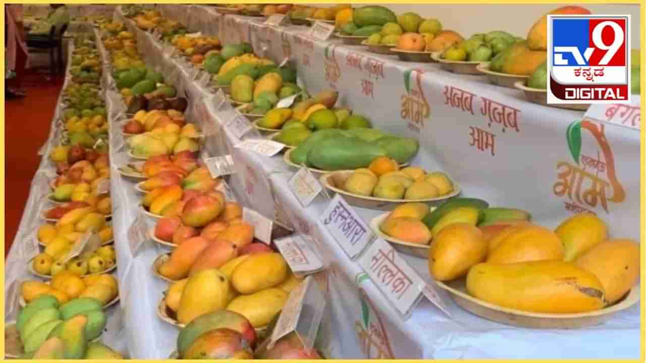 Lalbagh Mango Mela 2024: ಲಾಲ್ ಬಾಗ್​​ನಲ್ಲಿ ಇಂದಿನಿಂದ ಮಾವು ಮೇಳ: ಯಾವ ತಳಿಯ ಮಾವಿನ ಹಣ್ಣಿಗೆ ಎಷ್ಟಿದೆ ಬೆಲೆ? ಇಲ್ಲಿದೆ ವಿವರ