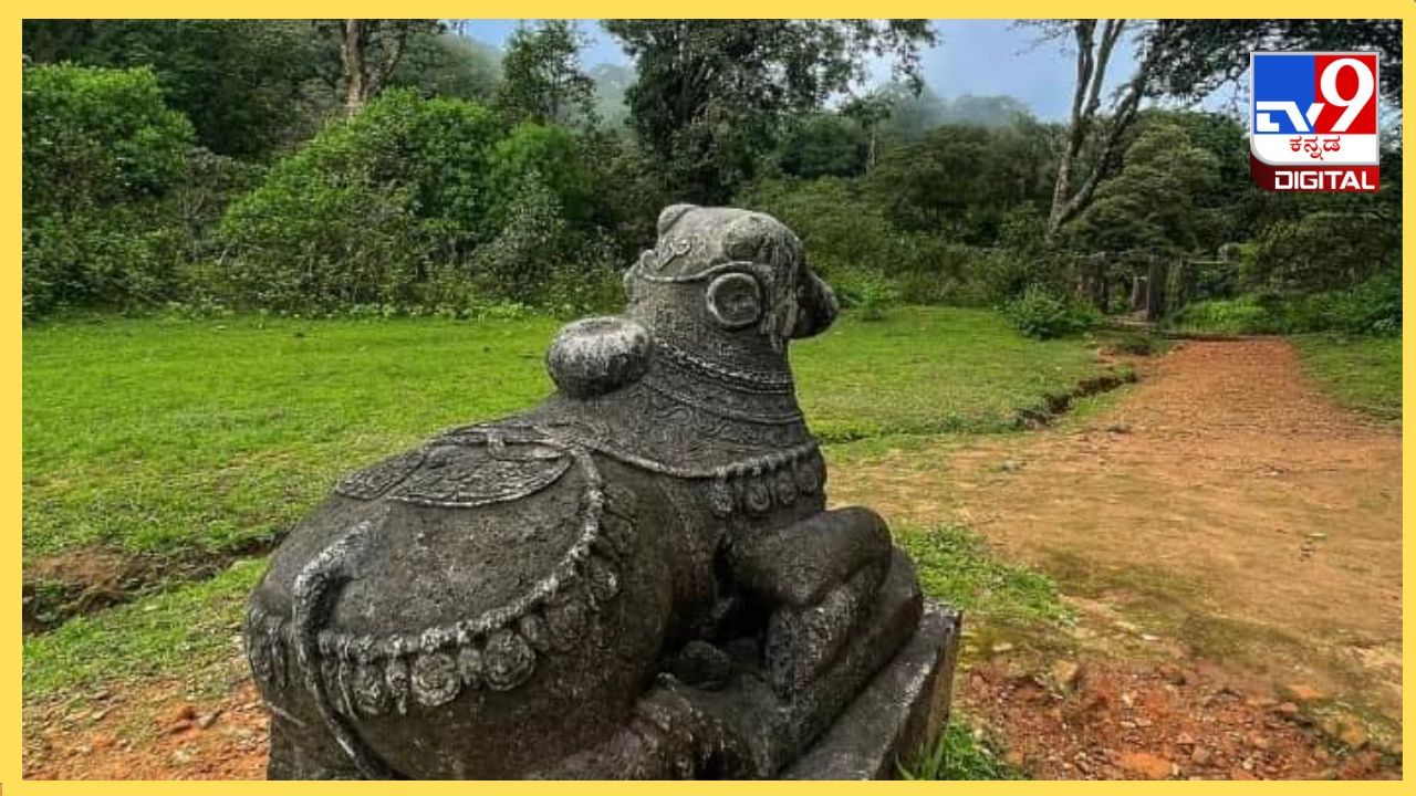 ಪ್ರಕೃತಿಯ ಸೌಂದರ್ಯವನ್ನು ಸವಿಯುತ್ತ ಕವಲೆದುರ್ಗ ಕೋಟೆಯ  ಮೇಲ್ಭಾಗದವರೆಗೆ ನಡೆದುಕೊಂಡು ಹೋಗಬಹುದು. ಚಾರಣ ಪ್ರಿಯರಿಗೆ ಕವಲೆದುರ್ಗವನ್ನು ಅತ್ಯುತ್ತಮ ಸ್ಥಳವೆನ್ನಬಹುದು. 

