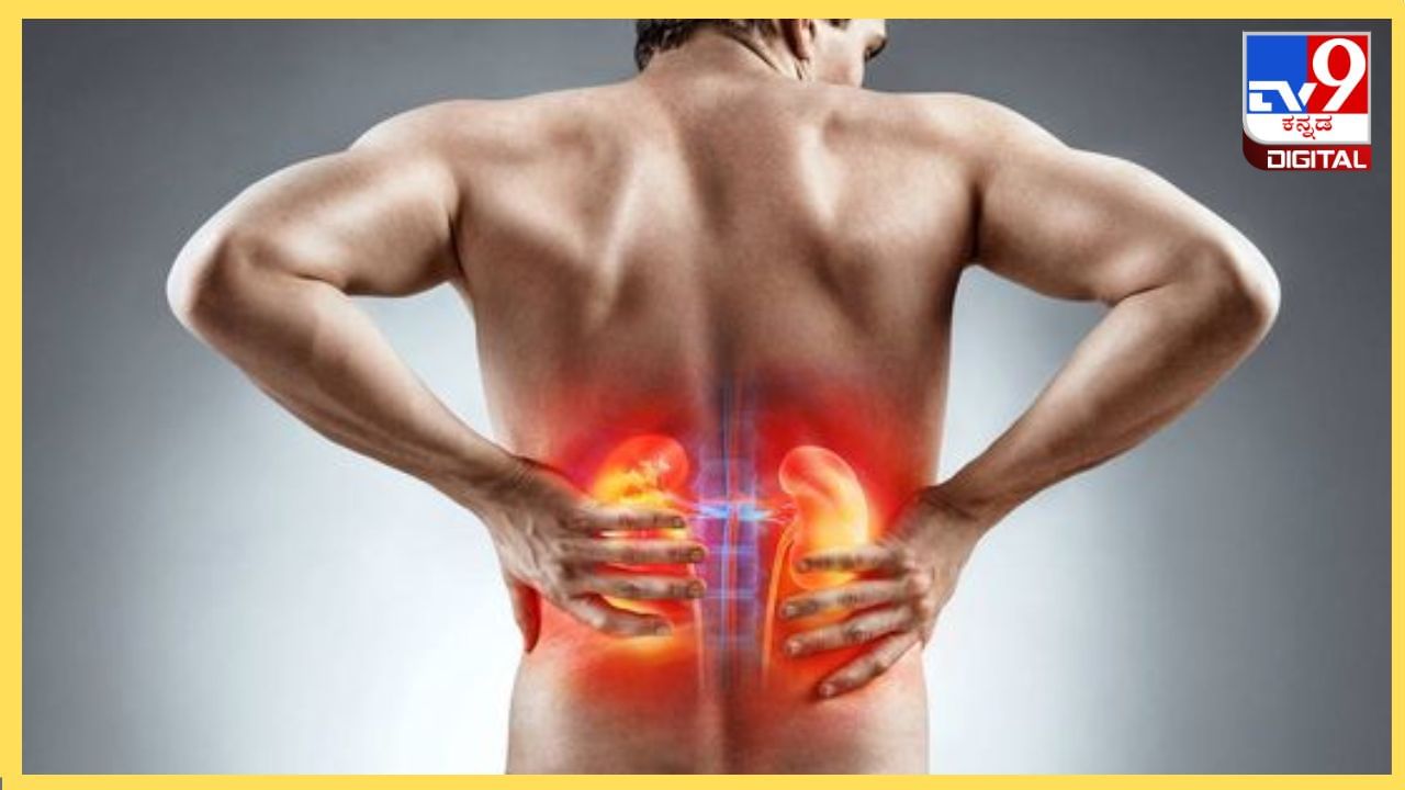 Diet Tips for Kidney : ಕಿಡ್ನಿ ಸ್ಟೋನ್ ಸಮಸ್ಯೆಯಿಂದ ಬಳಲುತ್ತಿದ್ದೀರಾ? ಈ ಹಣ್ಣುಗಳನ್ನು ಸೇವಿಸಿ Diet Tips for Kidney : ಕಿಡ್ನಿ ಸ್ಟೋನ್ ಸಮಸ್ಯೆಯಿಂದ ಬಳಲುತ್ತಿದ್ದೀರಾ? ಈ ಹಣ್ಣುಗಳನ್ನು ಸೇವಿಸಿ
