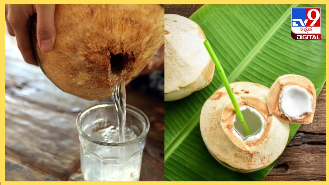 Coconut Water : ಎಳನೀರು ಕುಡಿಯುವವರ ಗಮನಕ್ಕೆ, ಈ ವಿಚಾರ ನಿಮಗೆ ತಿಳಿದಿರಲೇಬೇಕು