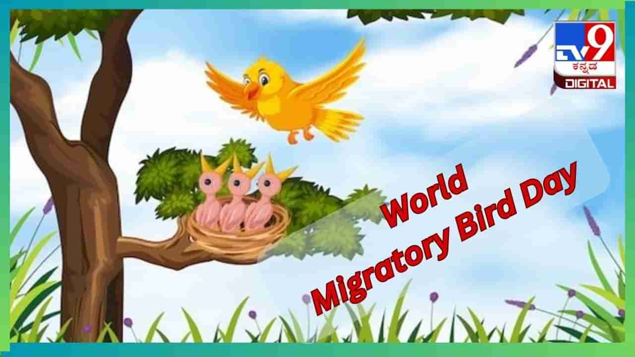 World Migratory Bird Day 2024 : ಆವಾಸ ಸ್ಥಾನಗಳ ನಾಶ, ಕಣ್ಮರೆಯತ್ತ ವಲಸೆ ಹಕ್ಕಿಗಳು