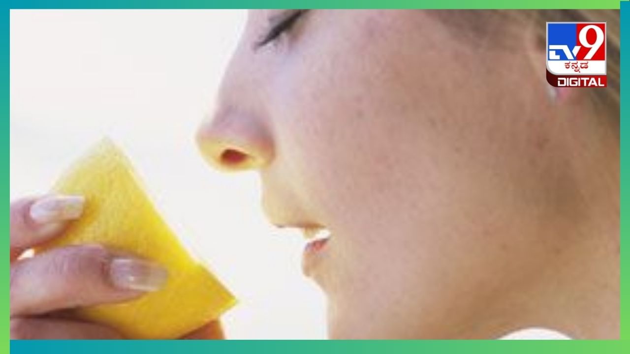 Smelling lemon: ಪ್ರಯಾಣ ಮಾಡುವಾಗ ಅನಾರೋಗ್ಯ ಸಮಸ್ಯೆಯಾಗದಂತೆ ತಡೆಯಲು ಈ ಟಿಪ್ಸ್ ಪಾಲಿಸಿ