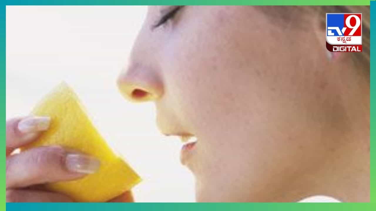 Smelling lemon: ಪ್ರಯಾಣ ಮಾಡುವಾಗ ಅನಾರೋಗ್ಯ ಸಮಸ್ಯೆಯಾಗದಂತೆ ತಡೆಯಲು ಈ ಟಿಪ್ಸ್ ಪಾಲಿಸಿ Smelling lemon: ಪ್ರಯಾಣ ಮಾಡುವಾಗ ಅನಾರೋಗ್ಯ ಸಮಸ್ಯೆಯಾಗದಂತೆ ತಡೆಯಲು ಈ ಟಿಪ್ಸ್ ಪಾಲಿಸಿ