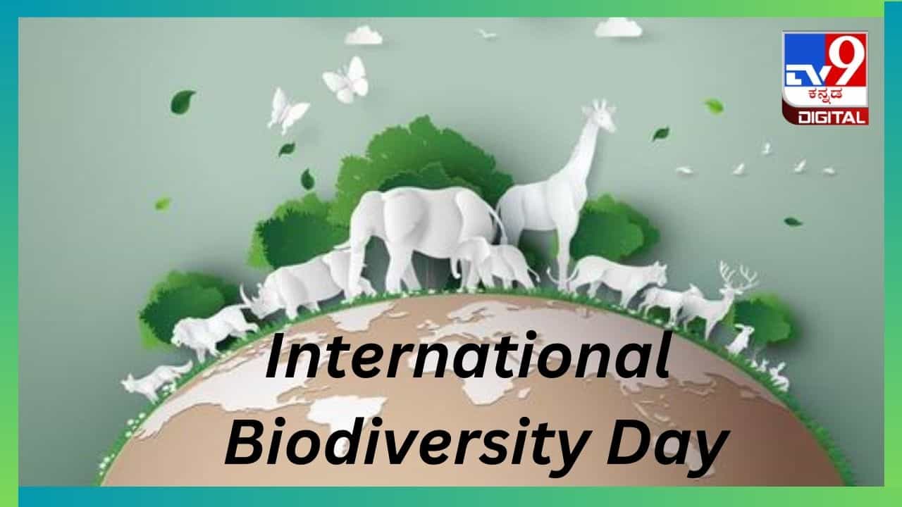 International Biodiversity Day 2024: ಜೀವವೈವಿಧ್ಯದ ನಾಶ ಮನುಕುಲಕ್ಕೆ ಆಪತ್ತು ಖಚಿತ International Biodiversity Day 2024: ಜೀವವೈವಿಧ್ಯದ ನಾಶ ಮನುಕುಲಕ್ಕೆ ಆಪತ್ತು ಖಚಿತ