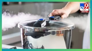 International Biodiversity Day 2024: ಜೀವವೈವಿಧ್ಯದ ನಾಶ ಮನುಕುಲಕ್ಕೆ ಆಪತ್ತು ಖಚಿತ