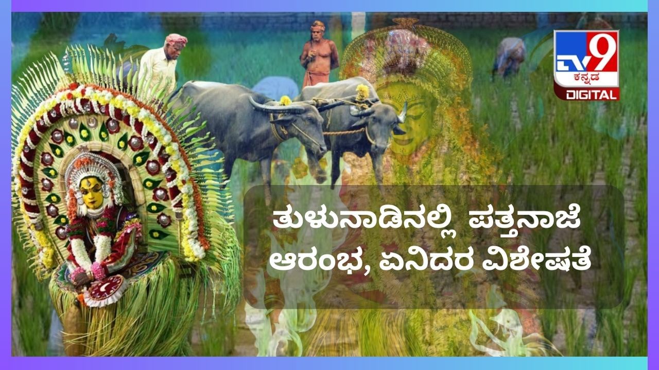 ತುಳುನಾಡಿನಲ್ಲಿ ಇಂದಿನಿಂದ ಪತ್ತನಾಜೆ ಆರಂಭ : ಧಾರ್ಮಿಕ ಕಾರ್ಯಕ್ಕೆ ಬ್ರೇಕ್, ಕೃಷಿಯತ್ತ ಚಿತ್ತ,  ಏನಿದರ ವಿಶೇಷತೆ