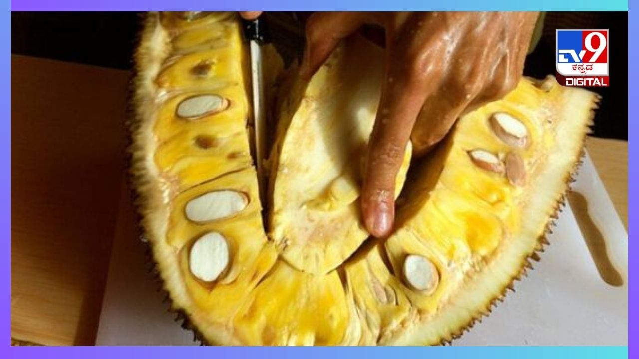 Jackfruits Cutting Tips : ಅಂಟು ಕೈಗೆ ತಾಗದಂತೆ ಹಲಸಿನಹಣ್ಣನ್ನು ಕತ್ತರಿಸುವುದು ಹೇಗೆ? ಇಲ್ಲಿದೆ ಸಿಂಪಲ್ ಟ್ರಿಕ್ಸ್