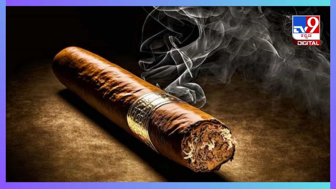 Tobacco Side Effects: ತಂಬಾಕಿನಿಂದ ಬಾಯಿ ಮಾತ್ರವಲ್ಲ ಈ ಅಂಗಗಳಿಗೂ ಕ್ಯಾನ್ಸರ್ ಅಪಾಯವಿದೆ! ತಡೆಯುವುದು ಹೇಗೆ?