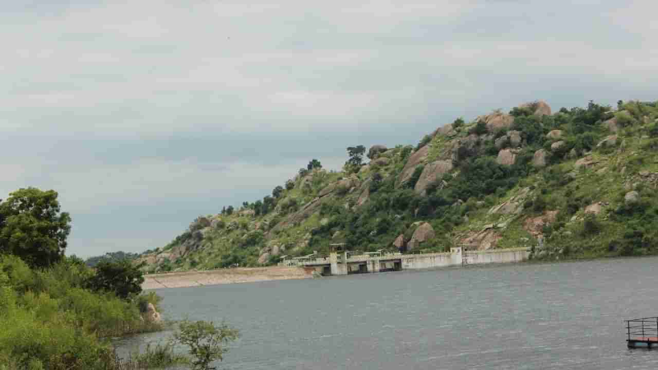 Karnataka Dam Water Level: ಜೂ. 5ರ ರಾಜ್ಯದ ಪ್ರಮುಖ ಡ್ಯಾಂಗಳ ನೀರಿನ ಮಟ್ಟದ ವಿವರ ಇಲ್ಲಿದೆ