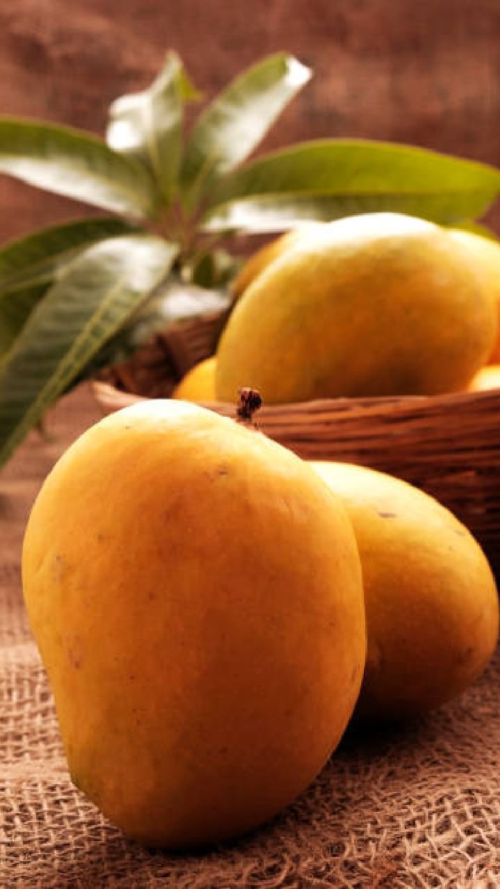 mango 1