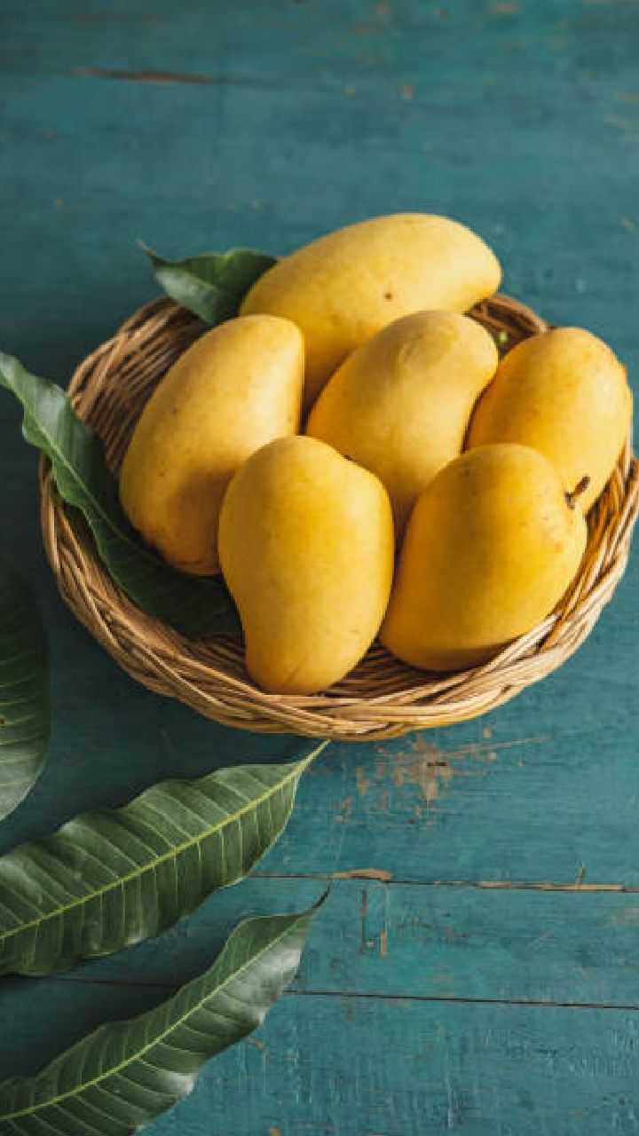 mango 2