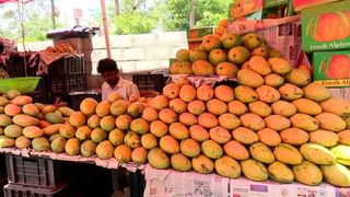 ಕ್ಯೂ ತಪ್ಪಿಸಲು ಕ್ಯೂಆರ್​ ಟಿಕೆಟ್ ಮಿಷನ್​​: ನಮ್ಮ ಮೆಟ್ರೋ ನಿಲ್ದಾಣಗಳಲ್ಲಿ ಬಂದಿದೆ ಹೊಸ ವ್ಯವಸ್ಥೆ​