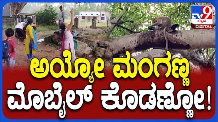 ಚಾಮುಂಡಿಬೆಟ್ಟದ ತಪ್ಪಲಲ್ಲಿ ಮಂಗವೊಂದರ ಕಪಿಚೇಷ್ಟೆ, ಭಕ್ತೆಯ ಫೋನ್ ಕಸಿದು ಮರಹತ್ತಿದ ಕಪಿರಾಯ! ಚಾಮುಂಡಿಬೆಟ್ಟದ ತಪ್ಪಲಲ್ಲಿ ಮಂಗವೊಂದರ ಕಪಿಚೇಷ್ಟೆ, ಭಕ್ತೆಯ ಫೋನ್ ಕಸಿದು ಮರಹತ್ತಿದ ಕಪಿರಾಯ!