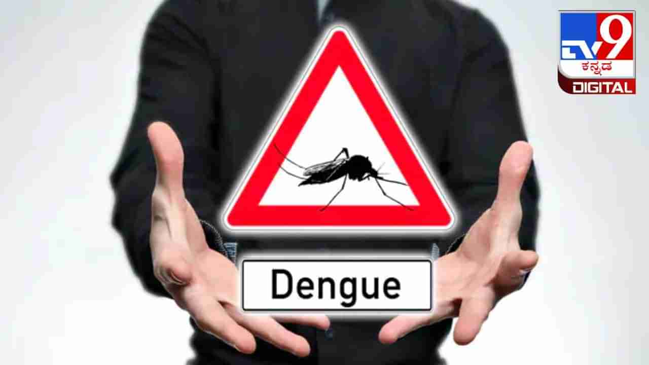 National Dengue Day 2024 :ಡೆಂಗ್ಯೂವಿನ ರೋಗ ಲಕ್ಷಣ, ಚಿಕಿತ್ಸೆ ಹಾಗೂ ಮುನ್ನೆಚ್ಚರಿಕೆ ಕ್ರಮಗಳು