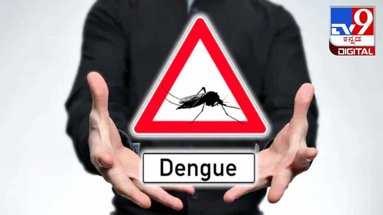 National Dengue Day 2024 :ಡೆಂಗ್ಯೂವಿನ ರೋಗ ಲಕ್ಷಣ, ಚಿಕಿತ್ಸೆ ಹಾಗೂ ಮುನ್ನೆಚ್ಚರಿಕೆ ಕ್ರಮಗಳು National Dengue Day 2024 :ಡೆಂಗ್ಯೂವಿನ ರೋಗ ಲಕ್ಷಣ, ಚಿಕಿತ್ಸೆ ಹಾಗೂ ಮುನ್ನೆಚ್ಚರಿಕೆ ಕ್ರಮಗಳು