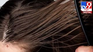 ಫ್ರಿಡ್ಜ್ ಇಲ್ಲದೆಯೂ ತರಕಾರಿ, ಹಣ್ಣುಗಳನ್ನು ಫ್ರೆಶ್​ ಆಗಿಡುವುದು ಹೇಗೆ?