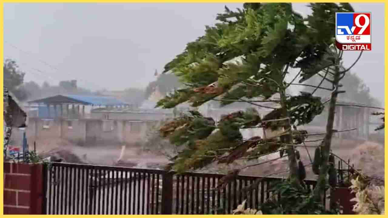 Bengaluru Rain Today: ಬೆಂಗಳೂರಿನಲ್ಲಿ ತಡರಾತ್ರಿ ಭಾರಿ ಮಳೆ; ಇನ್ನೂ 4 ದಿನ ಮಳೆಯ ಮುನ್ಸೂಚನೆ