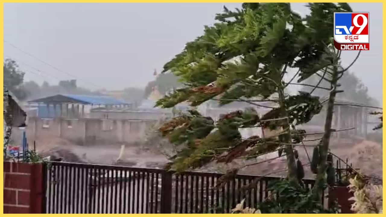 Bengaluru Rain Today: ಬೆಂಗಳೂರಿನಲ್ಲಿ ತಡರಾತ್ರಿ ಭಾರಿ ಮಳೆ; ಇನ್ನೂ 4 ದಿನ ಮಳೆಯ ಮುನ್ಸೂಚನೆ Bengaluru Rain Today: ಬೆಂಗಳೂರಿನಲ್ಲಿ ತಡರಾತ್ರಿ ಭಾರಿ ಮಳೆ; ಇನ್ನೂ 4 ದಿನ ಮಳೆಯ ಮುನ್ಸೂಚನೆ