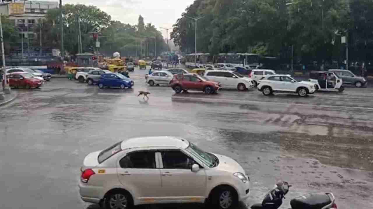 Bengaluru Rains: ಬೆಂಗಳೂರಿನ ಹಲವೆಡೆ ಜಿಟಿಜಿಟಿ ಮಳೆ: ಸಿಲಿಕಾನ್ ಸಿಟಿ ಫುಲ್ ಕೂಲ್ ಕೂಲ್