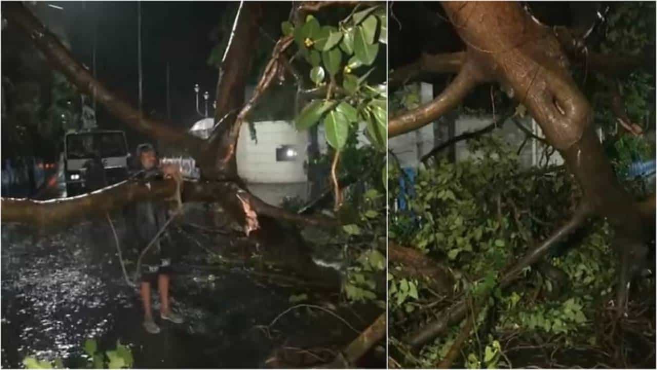 Remal Cyclone: ಪಶ್ಚಿಮ ಬಂಗಾಳದ ಕಡಲತೀರಕ್ಕೆ ಅಪ್ಪಳಿಸಿದ ರೆಮಲ್ ಚಂಡಮಾರುತ, ಹಲವೆಡೆ ಭೂಕುಸಿತ Remal Cyclone: ಪಶ್ಚಿಮ ಬಂಗಾಳದ ಕಡಲತೀರಕ್ಕೆ ಅಪ್ಪಳಿಸಿದ ರೆಮಲ್ ಚಂಡಮಾರುತ, ಹಲವೆಡೆ ಭೂಕುಸಿತ