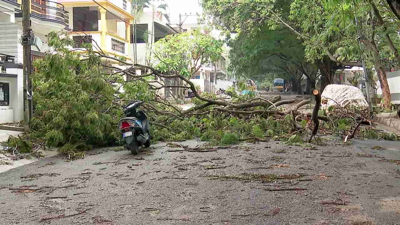 ಬೆಂಗಳೂರು: ಮಳೆಗೆ ಹಲವು ಕಡೆ ಧರೆಗೆ ಉರುಳಿದ ನೂರಾರು ಮರಗಳು, ಕೂದಲೆಳೆ ಅಂತರದಲ್ಲಿ ಬಜಾವ್ ಆದ ಕುಟುಂಬ