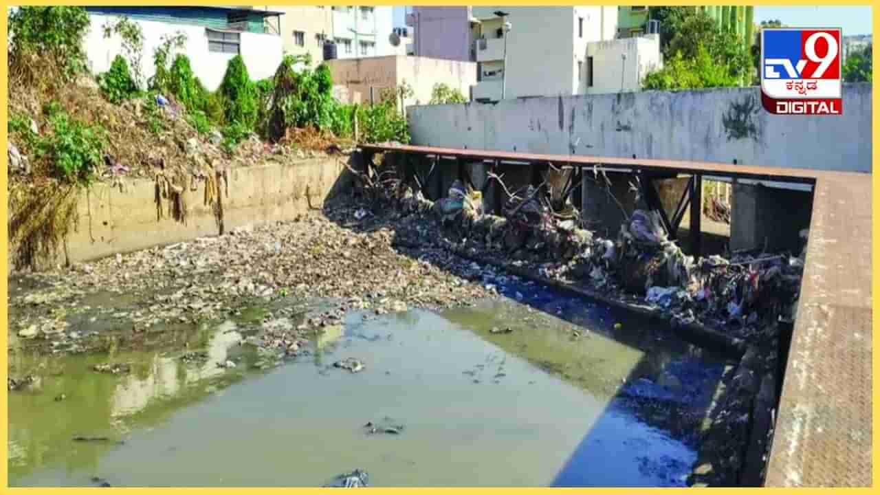 ಬೆಂಗಳೂರು: ರಾಜಕಾಲುವೆಗೆ ಕಸ ಎಸೆದವರಿಗೆ ದಂಡ, ಮಾರ್ಷಲ್​ಗಳ ಮೂಲಕ ನಿಗಾ ಇಡಲು ಯೋಜನೆ