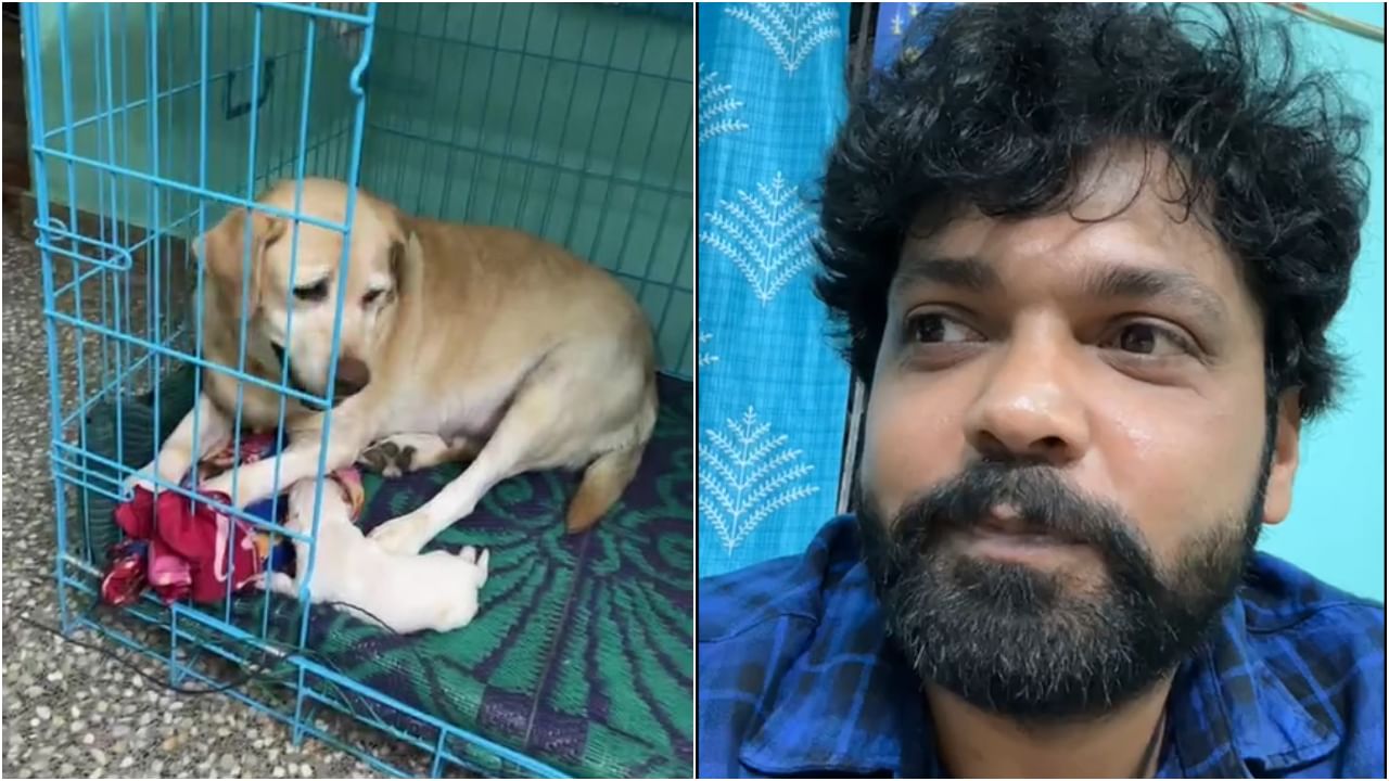ಆರು ಮರಿಗಳಿಗೆ ಜನ್ಮ ನೀಡಿದ 777 ಚಾರ್ಲಿ; ಲೈವ್ ಬಂದು ಸಿಹಿ ಸುದ್ದಿ ನೀಡಿದ ರಕ್ಷಿತ್ ಶೆಟ್ಟಿ ಆರು ಮರಿಗಳಿಗೆ ಜನ್ಮ ನೀಡಿದ 777 ಚಾರ್ಲಿ; ಲೈವ್ ಬಂದು ಸಿಹಿ ಸುದ್ದಿ ನೀಡಿದ ರಕ್ಷಿತ್ ಶೆಟ್ಟಿ