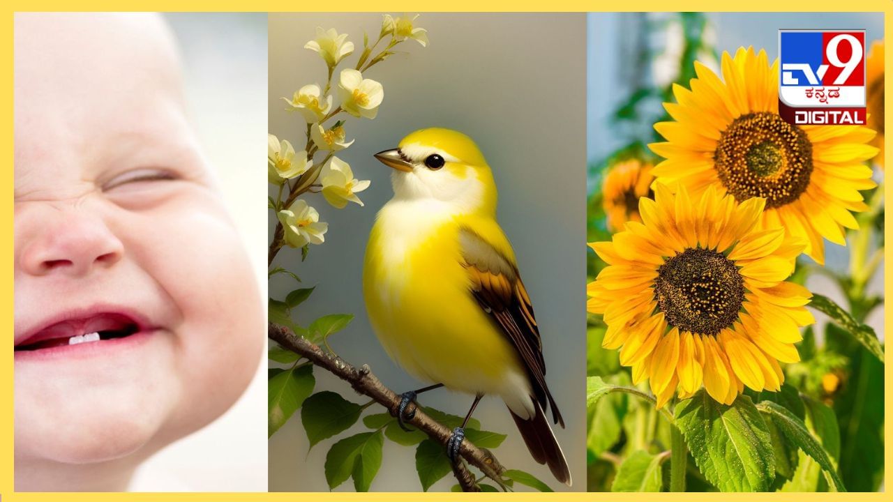 ಮುಂಜಾನೆ ಈ ವಸ್ತುಗಳನ್ನು ನೋಡುವುದು ತುಂಬಾ ಶುಭ ಮುಂಜಾನೆ ಈ ವಸ್ತುಗಳನ್ನು ನೋಡುವುದು ತುಂಬಾ ಶುಭ