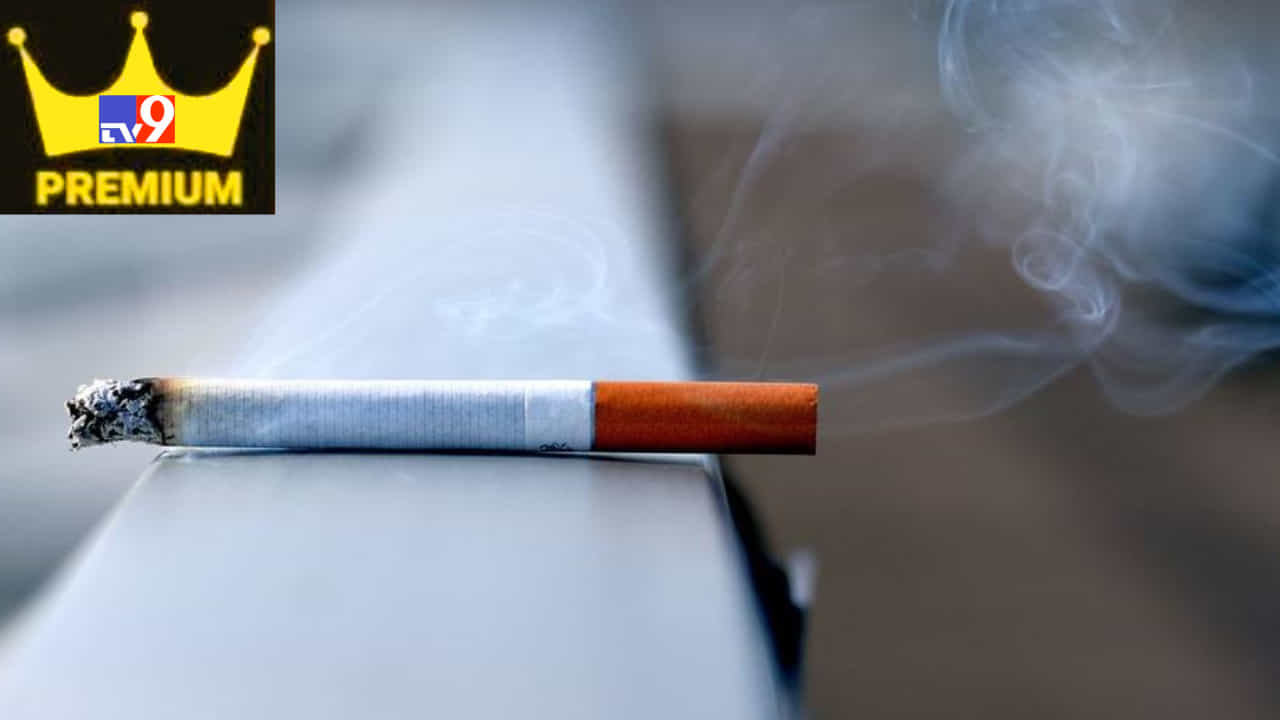 Quitting smoking: ಧೂಮಪಾನ ಸೇವನೆ ಕಡಿಮೆಯಾಗುತ್ತಿದೆ! ಯಾಕೆ ಗೊತ್ತಾ? ಏನಿದೆ ಸದ್ಯದ ಚಿತ್ರಣ? Quitting smoking: ಧೂಮಪಾನ ಸೇವನೆ ಕಡಿಮೆಯಾಗುತ್ತಿದೆ! ಯಾಕೆ ಗೊತ್ತಾ? ಏನಿದೆ ಸದ್ಯದ ಚಿತ್ರಣ?