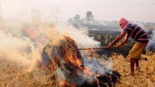 ಚುನಾವಣಾ ಪ್ರಚಾರ ಮೂಲಭೂತ ಹಕ್ಕಲ್ಲ; ಕೇಜ್ರಿವಾಲ್​ಗೆ ಜಾಮೀನು ನೀಡಲು ಇಡಿ ವಿರೋಧ