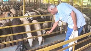 Karnataka Dam Water Level: KRS, ಕಬಿನಿ ಜಲಾಶಯಕ್ಕೆ ಒಳಹರಿವು ಹೆಚ್ಚಳ, ರಾಜ್ಯದ ಪ್ರಮುಖ ಡ್ಯಾಂಗಳ ನೀರಿನ ಮಟ್ಟದ ವಿವರ ಇಲ್ಲಿದೆ