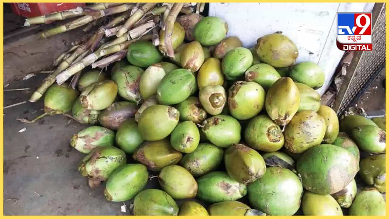 ಮಂಗಳೂರು, ಉಡುಪಿಯಲ್ಲಿ 60 ರೂ. ತಲುಪಿದ ಎಳನೀರು ದರ: ಪೂರೈಕೆ ಕೊರತೆಯಿಂದ ವ್ಯಾಪಾರಿಗಳು ಕಂಗಾಲು