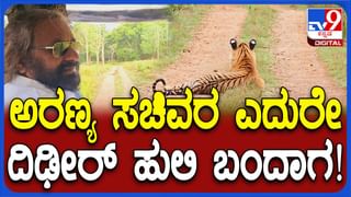 ವಾರಾಣಸಿಯಿಂದ 3ನೇ ಬಾರಿಗೆ ಮೋದಿ ಸ್ಪರ್ಧೆ: ನಾಮಪತ್ರ ಸಲ್ಲಿಕೆಗೂ ಮುನ್ನ ಪೂಜೆ, ಇಲ್ಲಿದೆ ನೇರ ಪ್ರಸಾರ