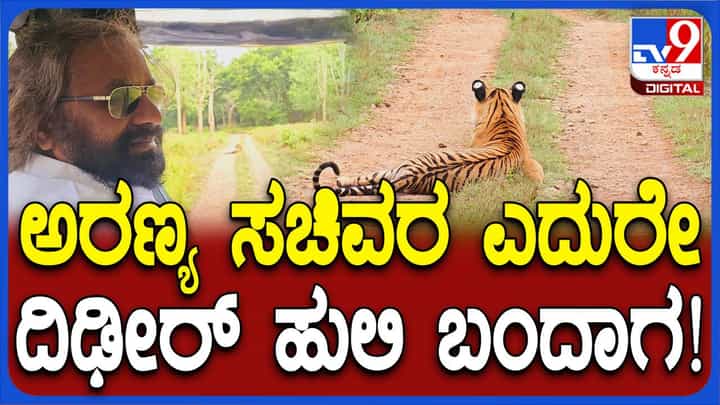 ನಾಗರಹೊಳೆ ಅಭಯಾರಣ್ಯದಲ್ಲಿ ವಿಹರಿಸಲು ಸಫಾರಿಗೆ ತೆರಳಿದ ಅರಣ್ಯ ಸಚಿವ ಈಶ್ವರ್ ಖಂಡ್ರೆಗೆ ಎದುರಾಯ್ತೊಂದು ಹುಲಿ! ನಾಗರಹೊಳೆ ಅಭಯಾರಣ್ಯದಲ್ಲಿ ವಿಹರಿಸಲು ಸಫಾರಿಗೆ ತೆರಳಿದ ಅರಣ್ಯ ಸಚಿವ ಈಶ್ವರ್ ಖಂಡ್ರೆಗೆ ಎದುರಾಯ್ತೊಂದು ಹುಲಿ!