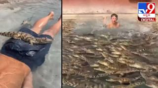 Viral Video: ಇದು ಸ್ಪೆಷಲ್ ಫ್ಲೈಯಿಂಗ್ ಪರೋಟಾ; ಈ ಬೀದಿ ಬದಿ ವ್ಯಾಪಾರಿಯ  ಪರೋಟಾ ತಯಾರಿಸೋ  ಕೌಶಲ್ಯಕ್ಕೆ ಬೆರಗಾದ ಆಹಾರ ಪ್ರಿಯರು