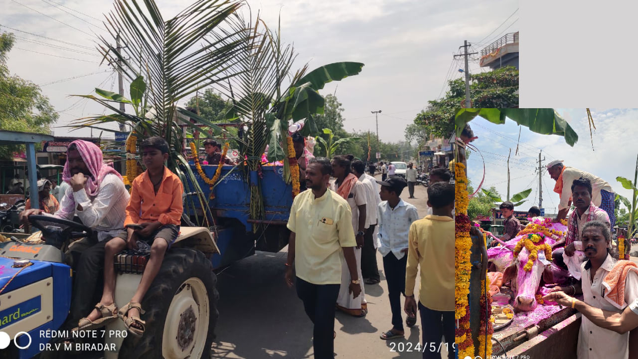 ಮೃತ ದೇವರ ಹಸುವನ್ನು ಭವ್ಯ ಮೆರವಣಿಗೆ ಮಾಡಿ, ದೇವಸ್ಥಾನದ ಮುಂದೆಯೇ ಅಂತ್ಯಕ್ರಿಯೆ ಮಾಡಿದ ಗ್ರಾಮಸ್ಥರು