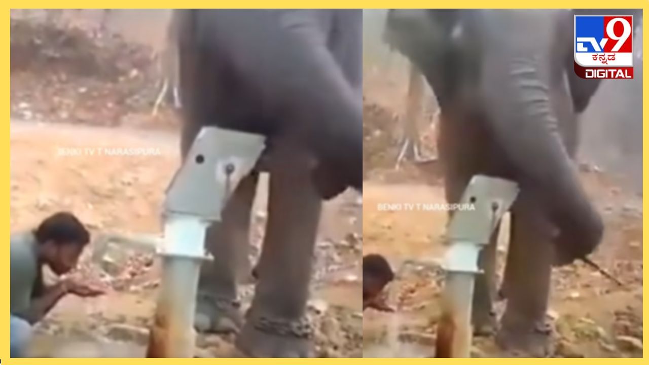 Viral Video : ಬಿಸಿಲಿನಲ್ಲಿ ದಣಿದಿದ್ದ ಮಾಲೀಕನಿಗೆ ನೀರು ಕುಡಿಯಲು ನೆರವಾದ ಆನೆ Viral Video : ಬಿಸಿಲಿನಲ್ಲಿ ದಣಿದಿದ್ದ ಮಾಲೀಕನಿಗೆ ನೀರು ಕುಡಿಯಲು ನೆರವಾದ ಆನೆ