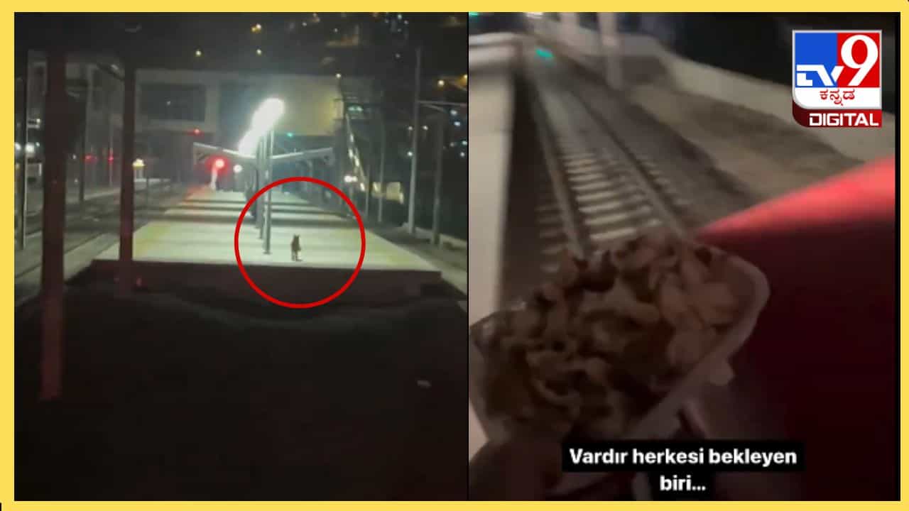 Viral Video: ಪ್ರತಿನಿತ್ಯ ಆತನ ಬರುವಿಕೆಗಾಗಿ ಕಾಯುವ ಶ್ವಾನ: ಇದು ಲೋಕೋ ಪೈಲಟ್ ಮತ್ತು ಬೀದಿನಾಯಿಯ ಸುಂದರ ಸ್ನೇಹ Viral Video: ಪ್ರತಿನಿತ್ಯ ಆತನ ಬರುವಿಕೆಗಾಗಿ ಕಾಯುವ ಶ್ವಾನ: ಇದು ಲೋಕೋ ಪೈಲಟ್ ಮತ್ತು ಬೀದಿನಾಯಿಯ ಸುಂದರ ಸ್ನೇಹ