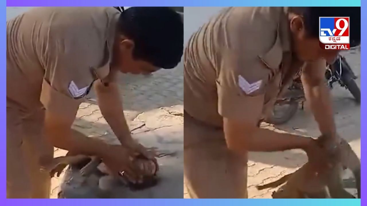 Viral Video: ಹೀಟ್‌ ಸ್ಟ್ರೋಕ್‌ಗೆ ಒಳಗಾದ ಕೋತಿ, ಮೂಕ ಜೀವಿಯ ಪ್ರಾಣ ರಕ್ಷಿಸಿದ ಪೊಲೀಸ್‌ ಅಧಿಕಾರಿ