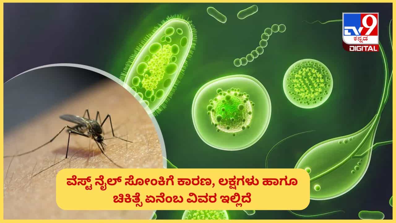 West Nile Fever: ಕೇರಳದಲ್ಲಿ ಹೆಚ್ಚುತ್ತಿದೆ ವೆಸ್ಟ್ ನೈಲ್ ಜ್ವರ, ಮೈಸೂರಿನಲ್ಲಿ ಹೆಚ್ಚಿದ ಆತಂಕ