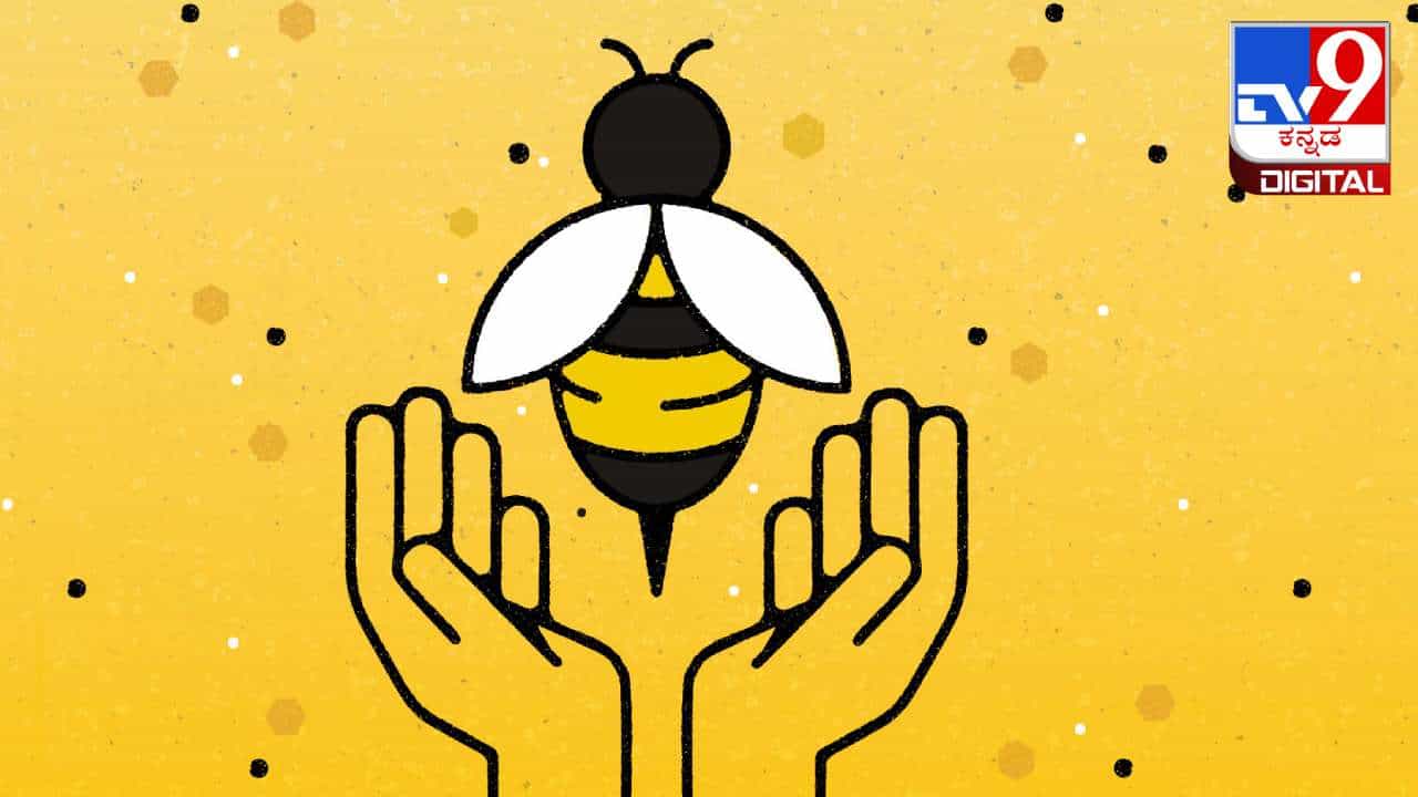 World Bee Day 2024: ಮಾನವ ಕುಲದ ಉಳಿವಿಗಾಗಿ, ಜೇನು ನೊಣಗಳನ್ನು ರಕ್ಷಿಸೋಣ! World Bee Day 2024: ಮಾನವ ಕುಲದ ಉಳಿವಿಗಾಗಿ, ಜೇನು ನೊಣಗಳನ್ನು ರಕ್ಷಿಸೋಣ!