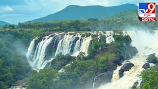 Monsoon Food Tips : ಮಳೆಗಾಲದಲ್ಲಿ ಈ ತರಕಾರಿಗಳನ್ನು ಅಪ್ಪಿತಪ್ಪಿಯೂ ಸೇವಿಸಬೇಡಿ