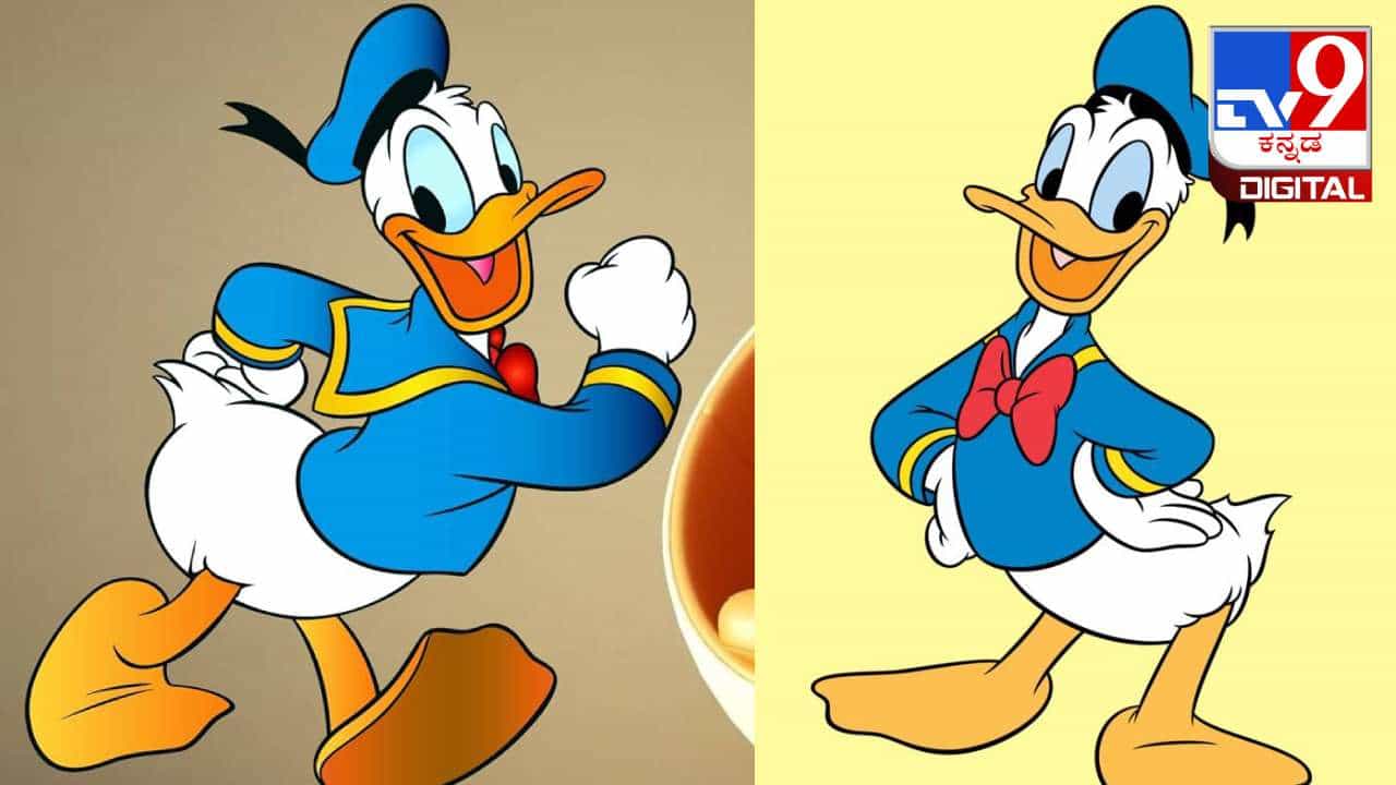 Donald Duck Day: 90 ವರ್ಷಗಳಿಂದ ಪ್ರೇಕ್ಷಕರ ಮುಖದಲ್ಲಿ ನಗು ಮೂಡಿಸಿದ ಡೊನಾಲ್ಡ್ ಡಕ್ ಬಗ್ಗೆ ನಿಮಗೆಷ್ಟು ಗೊತ್ತು? Donald Duck Day: 90 ವರ್ಷಗಳಿಂದ ಪ್ರೇಕ್ಷಕರ ಮುಖದಲ್ಲಿ ನಗು ಮೂಡಿಸಿದ ಡೊನಾಲ್ಡ್ ಡಕ್ ಬಗ್ಗೆ ನಿಮಗೆಷ್ಟು ಗೊತ್ತು?