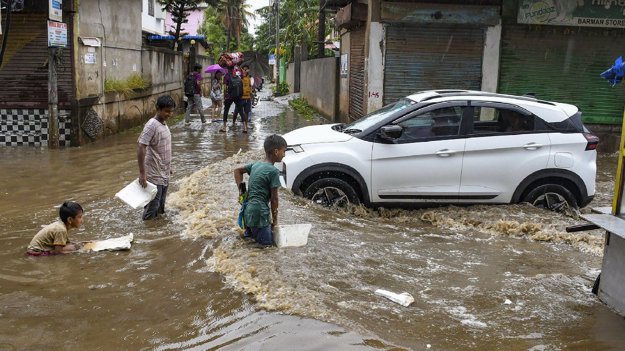 ಅವರ ರೋಗನಿರೋಧಕ ಶಕ್ತಿಯನ್ನು ಹೆಚ್ಚಿಸಲು ತಾಜಾ ಹಣ್ಣುಗಳು ಮತ್ತು ತರಕಾರಿಗಳನ್ನು ಅವರ ದೈನಂದಿನ ಆಹಾರದಲ್ಲಿ ಸೇರಿಸಿ. ಆಹಾರದಿಂದ ಹರಡುವ ಕಾಯಿಲೆಗಳನ್ನು ತಪ್ಪಿಸಲು ಅವರು ಬೇಯಿಸಿದ ಮತ್ತು ಬೆಚ್ಚಗಿನ ಆಹಾರವನ್ನು ನೀಡಿ.
