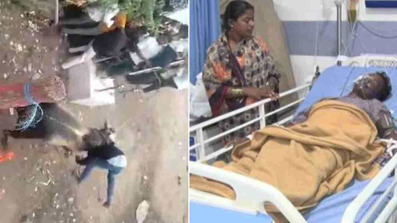 ವಿಜಯಪುರದಲ್ಲಿ ಕರಿ ಹರಿಯುವ ಪದ್ಧತಿ: ಯುವಕನ ಕರುಳು ಬಗೆದ ಹೋರಿ ವಿಜಯಪುರದಲ್ಲಿ ಕರಿ ಹರಿಯುವ ಪದ್ಧತಿ: ಯುವಕನ ಕರುಳು ಬಗೆದ ಹೋರಿ